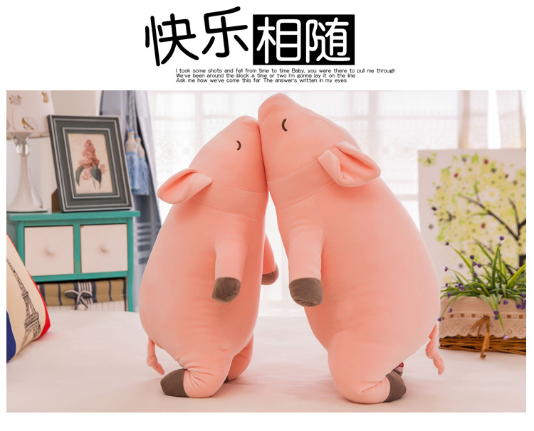 猪 (14).jpg