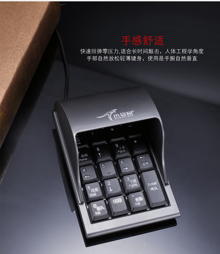 小袋鼠-DS-2029防偷窥键盘描述图_04.png