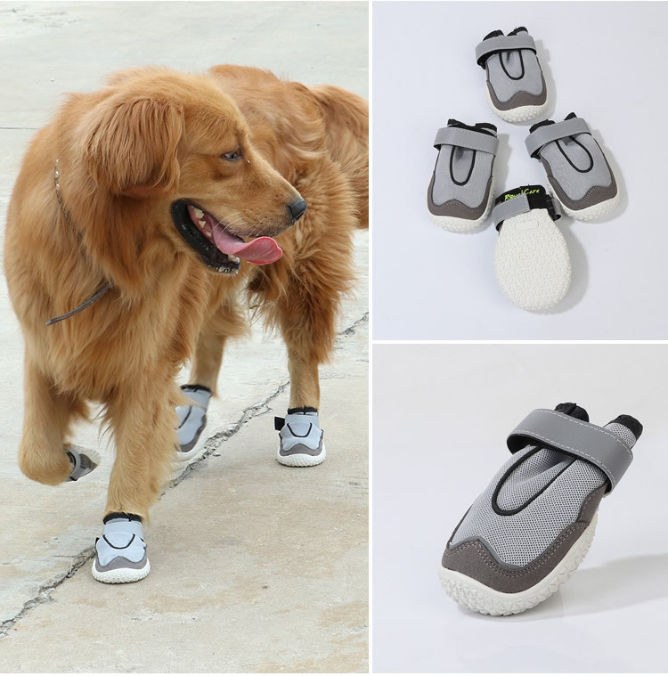 宠物网鞋_r16_c1.jpg