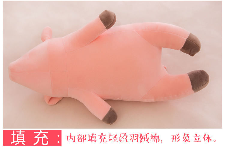 猪 (21).jpg