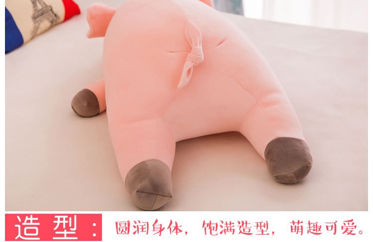 猪 (20).jpg