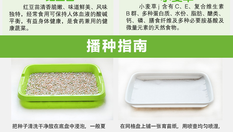 播种1.jpg