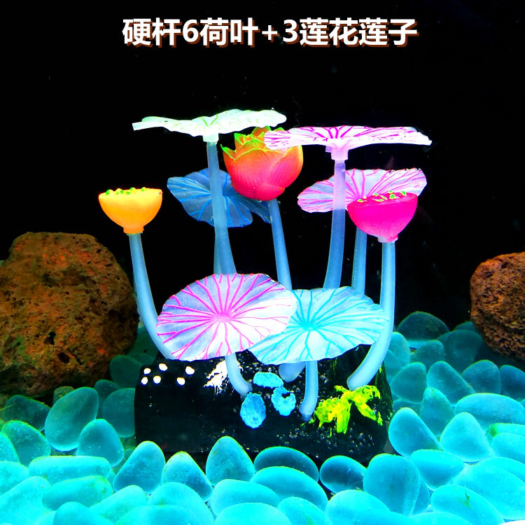 6荷叶3莲花莲子主图