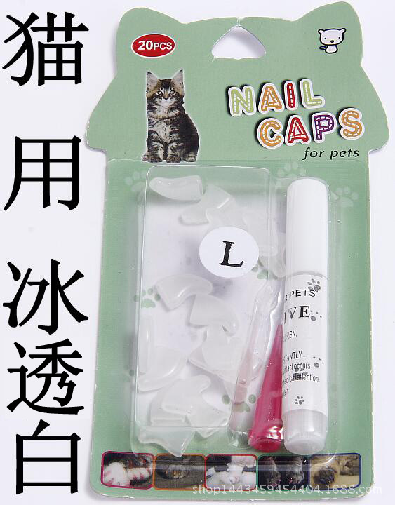 透明白.jpg