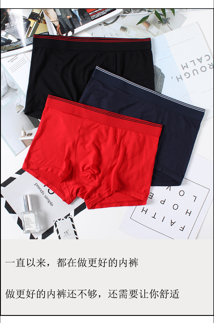 V602_03.jpg