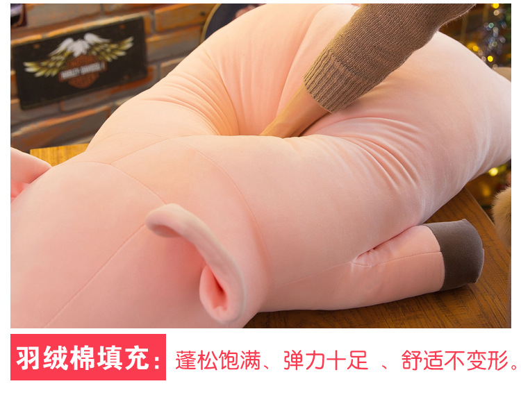 猪 (4).jpg