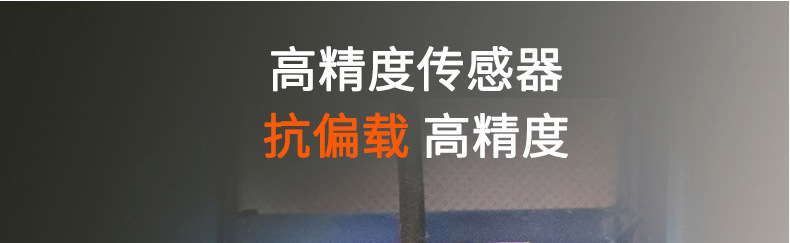 电子折叠台秤--永州_22