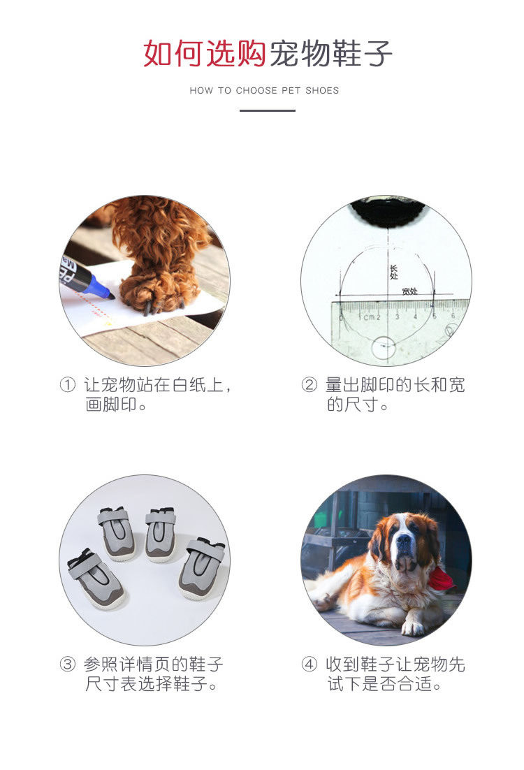 宠物网鞋_r8_c1.jpg