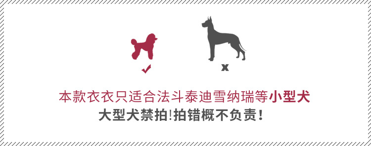 小型犬