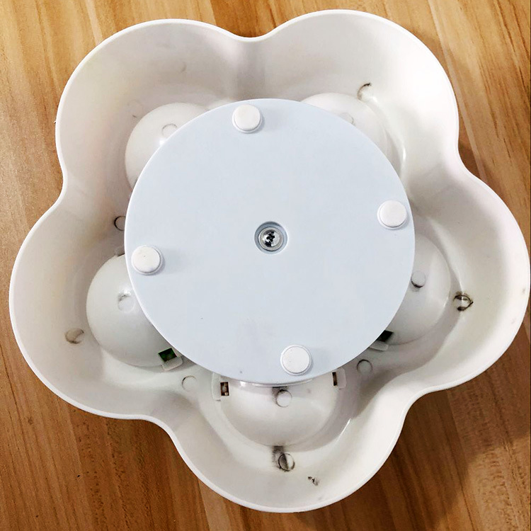 狗用品20180326142553