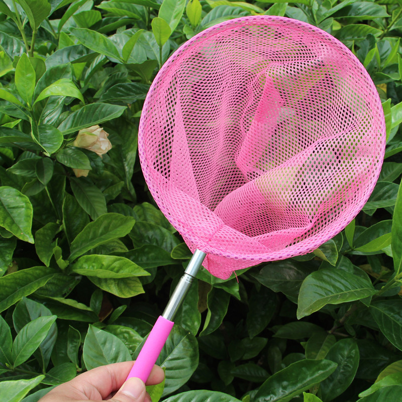 IMG_5556_副本8000