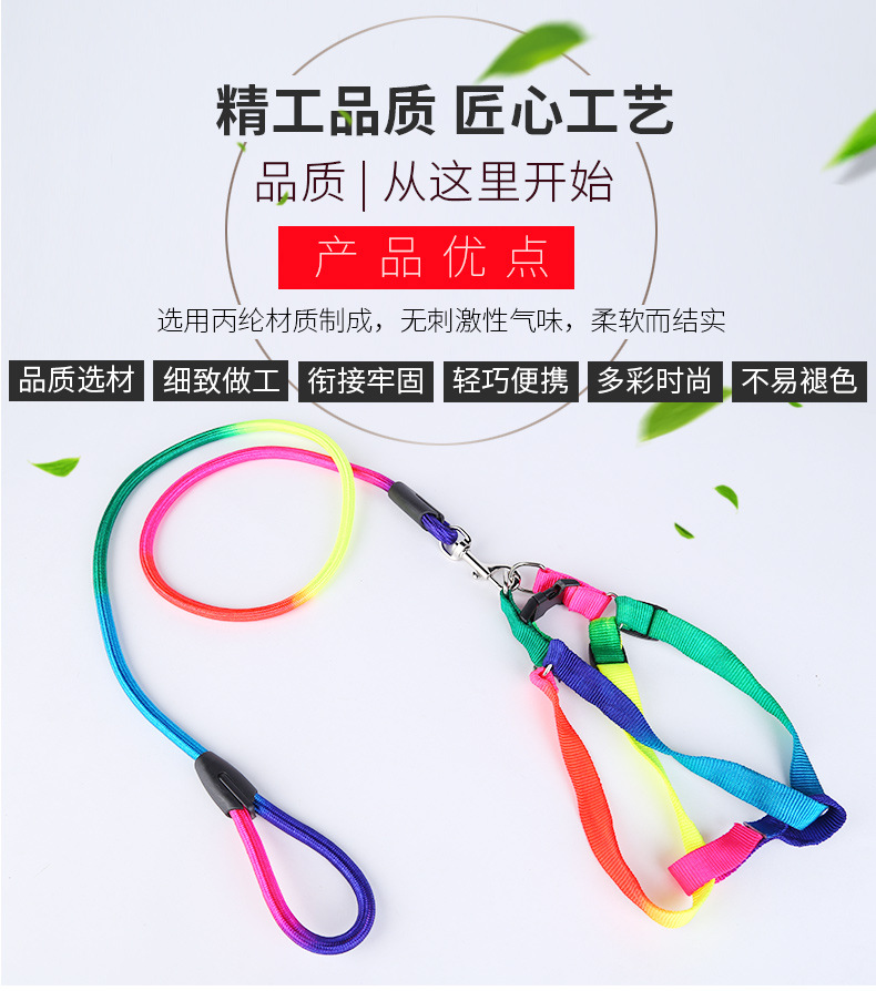8-七彩牵引绳_04