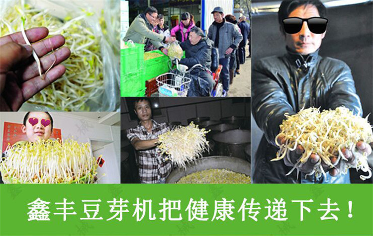 豆芽机批发