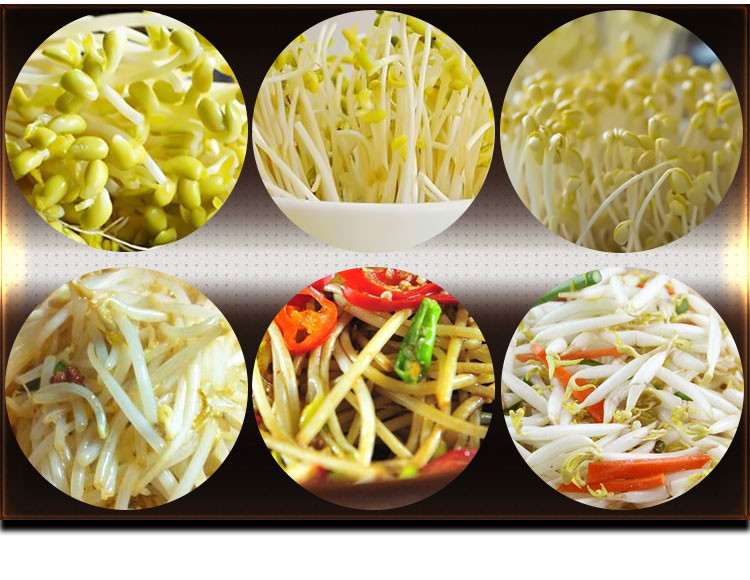 豆芽机厂家直销