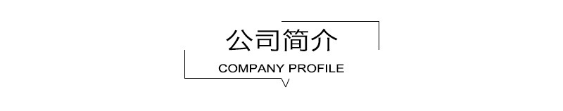 公司介绍2