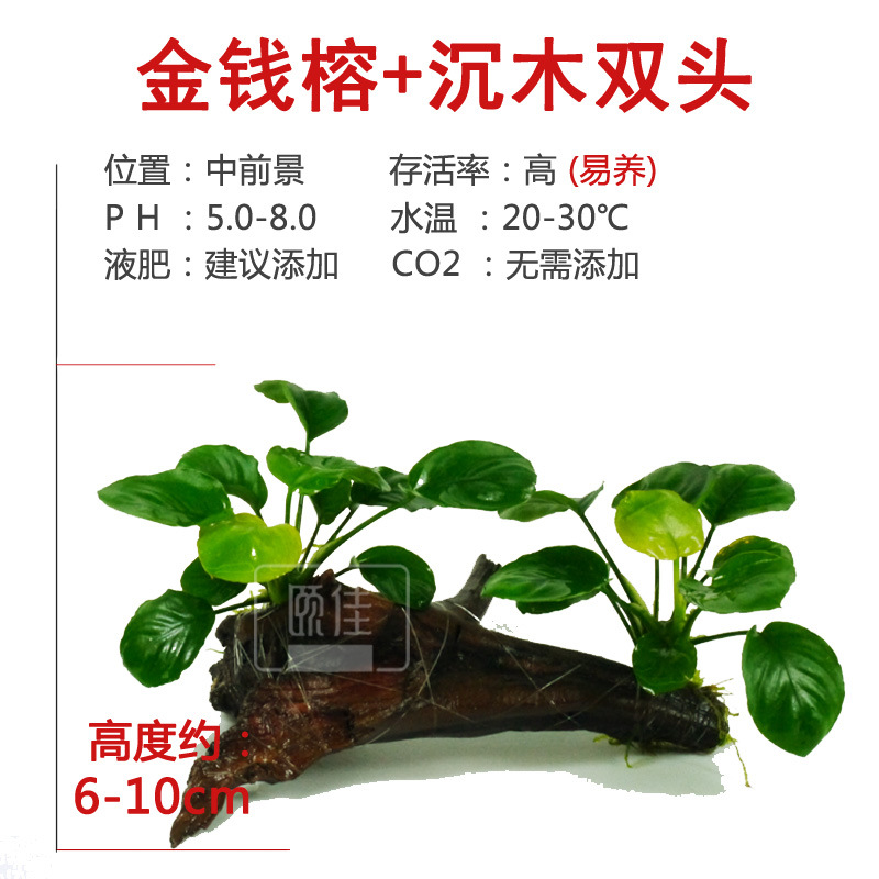 ?1?7?1?7?0?0?1?7?0?5?1?7?0?6?0?5?0?5