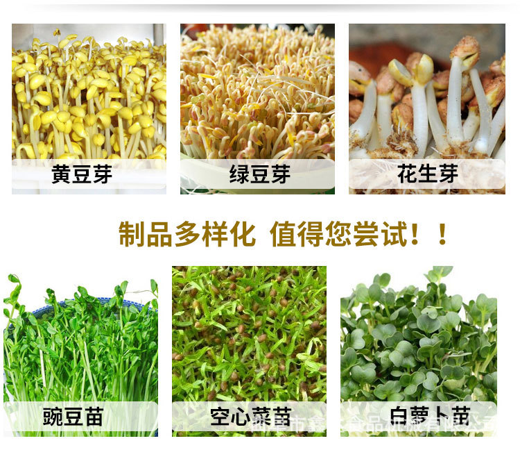 无公害豆芽机