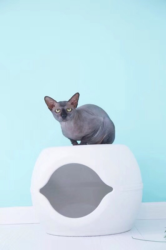 微信图片_20180909090513