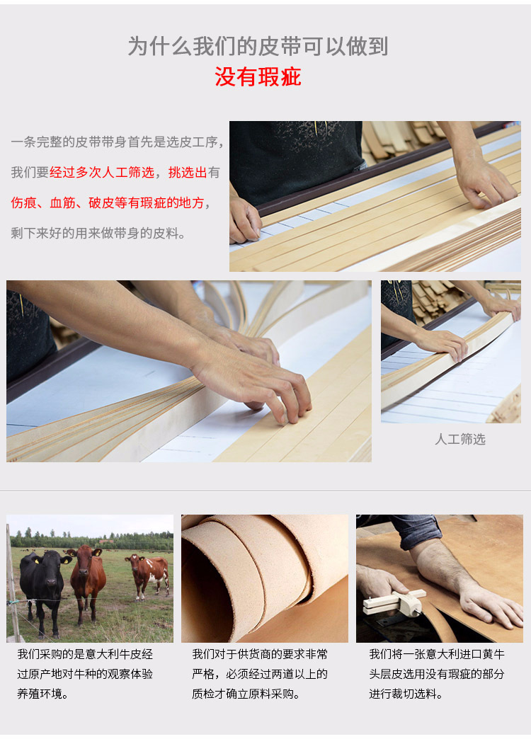 素面自动带_11.jpg