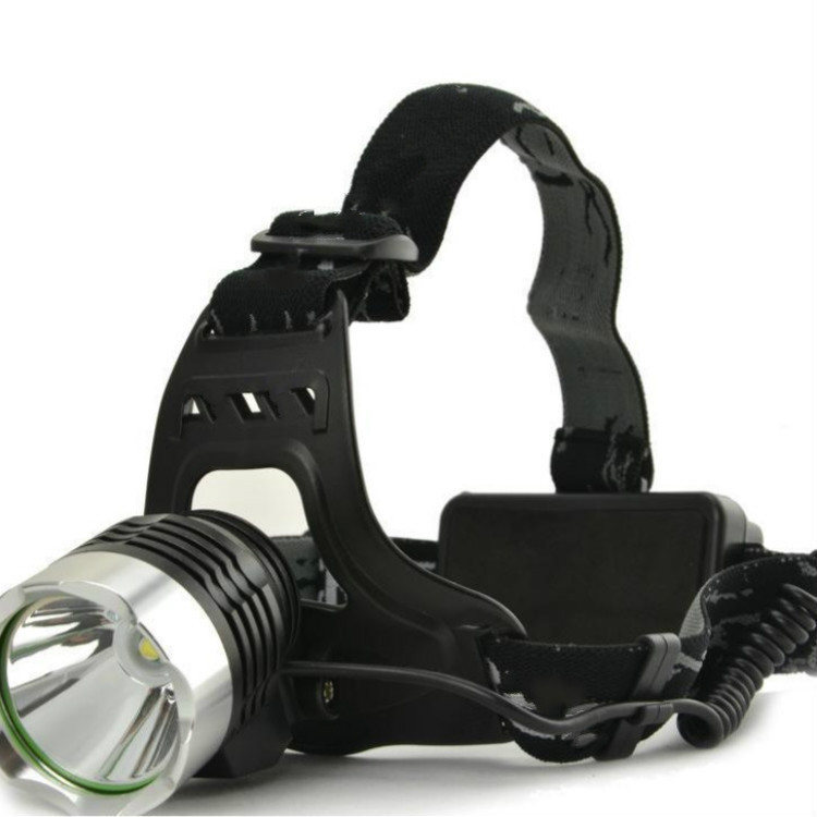 4491746541_429991415