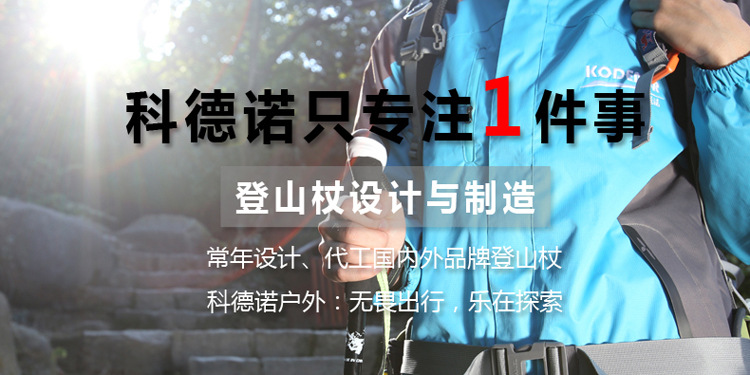 自由光1系 (1).jpg