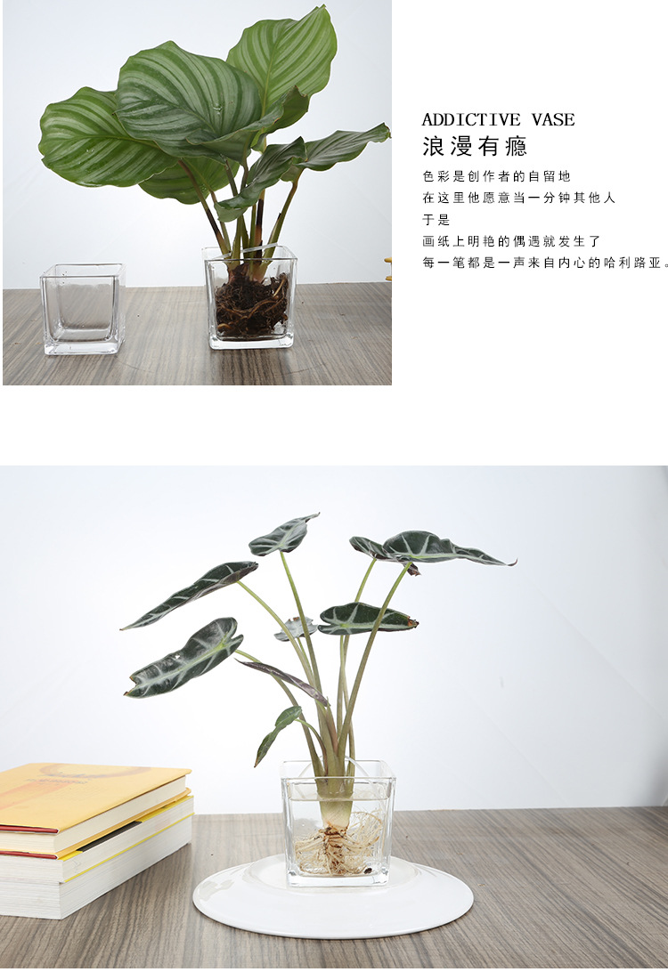 透明方缸详情_07.jpg?x-oss-process=image/format,png