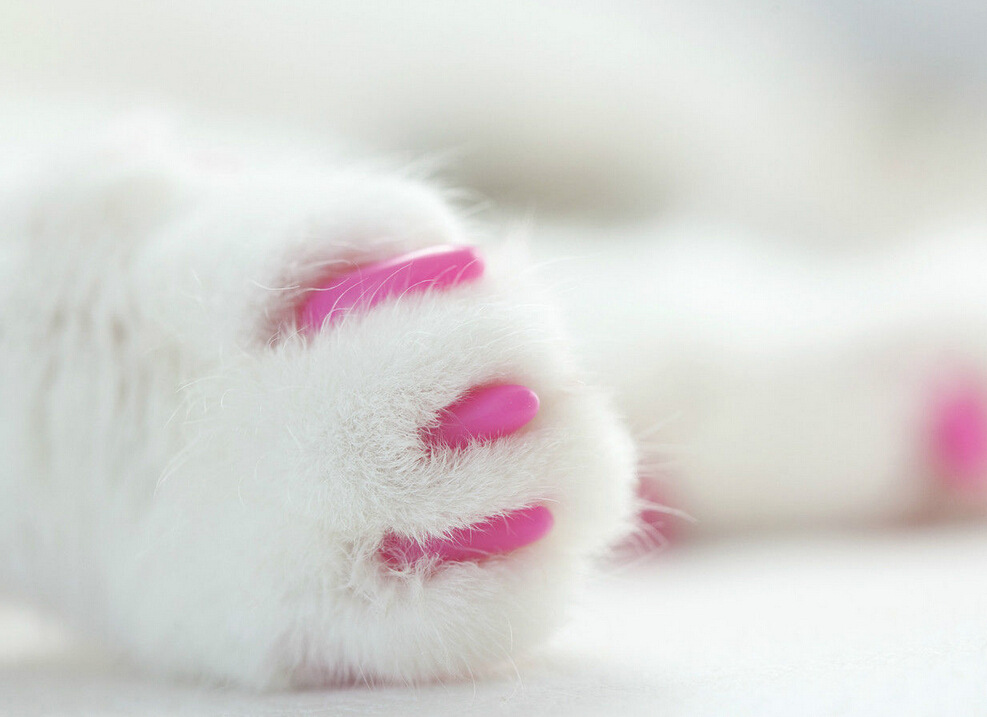 OXRDI(@UCT8C6D]11JGB_6D