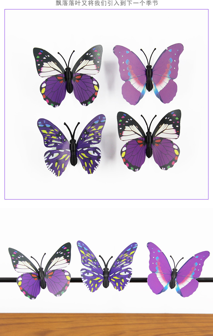 蝴蝶_30.jpg