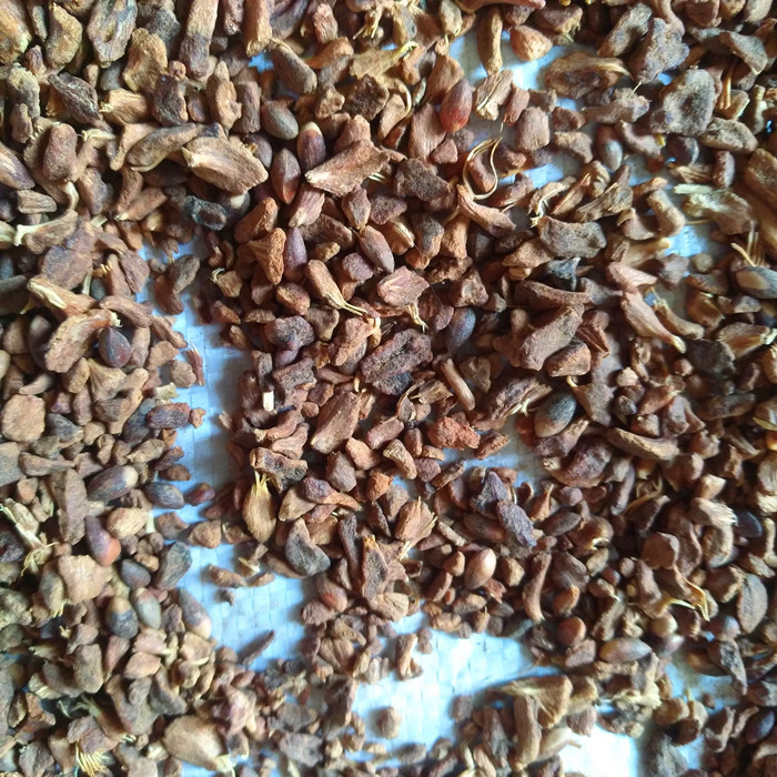 IMG_20180519_144348_副本