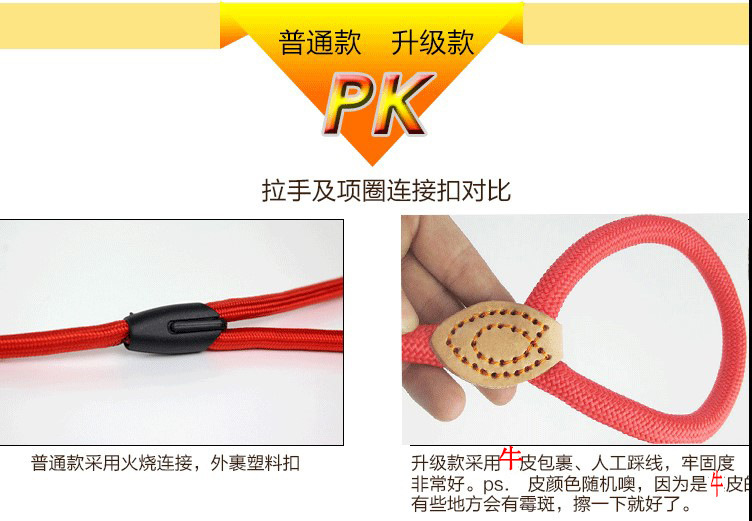 4446779157_696987398