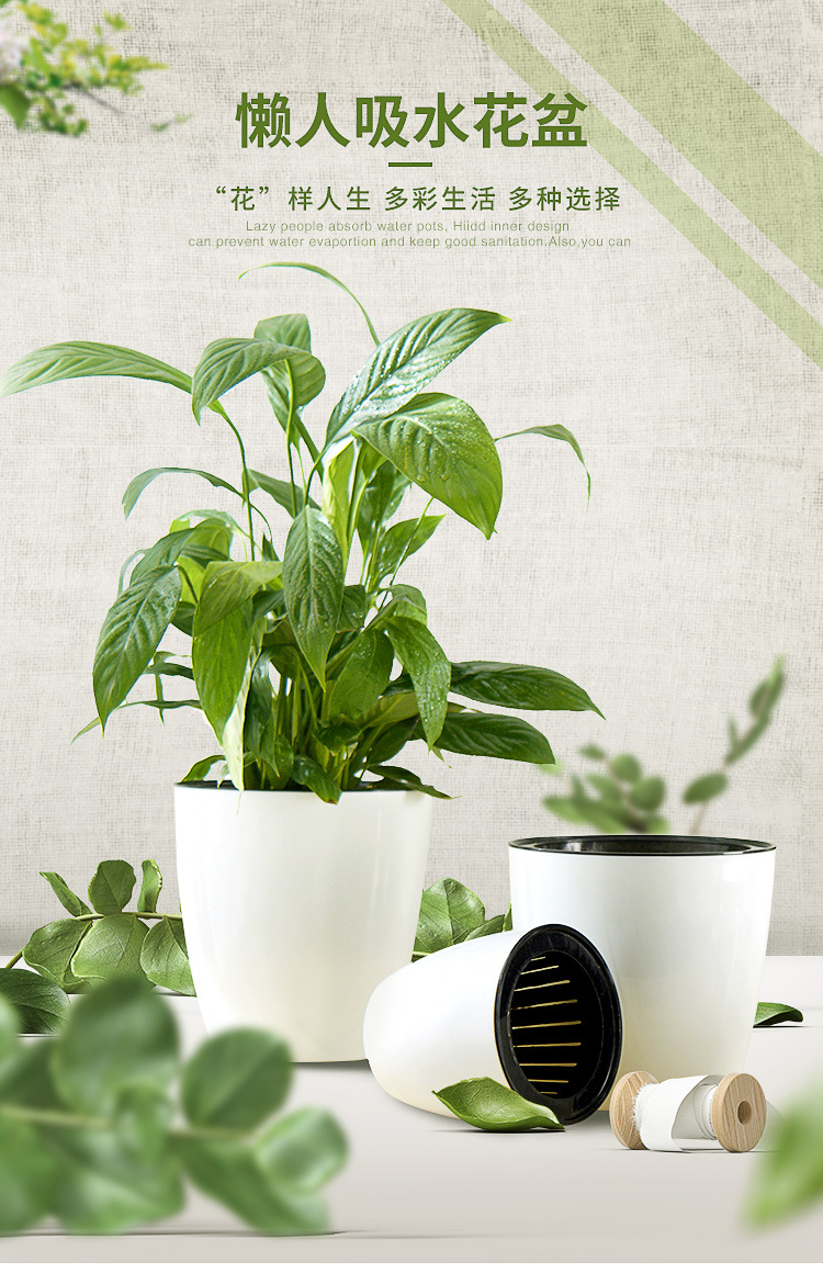 吸水花盆_01.jpg