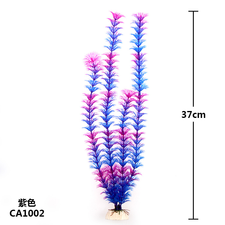 CA1002.JPG