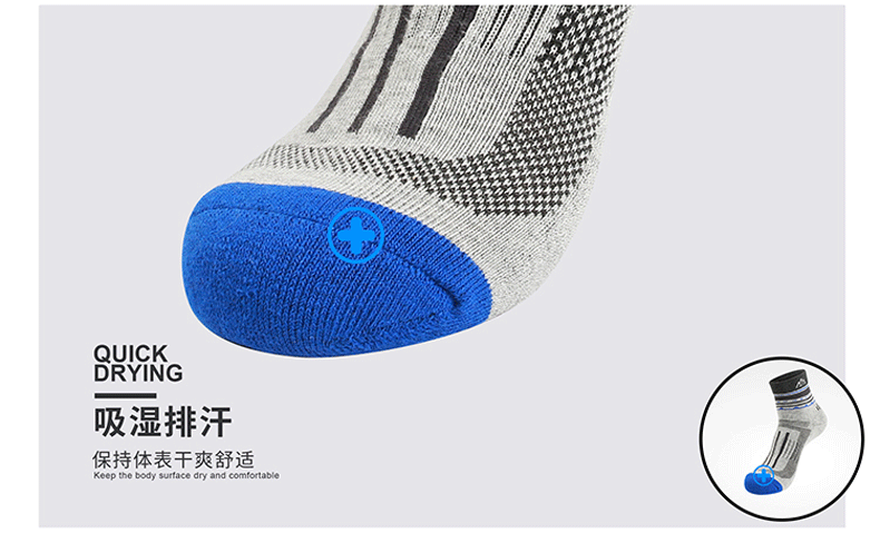S049 S050 14.gif