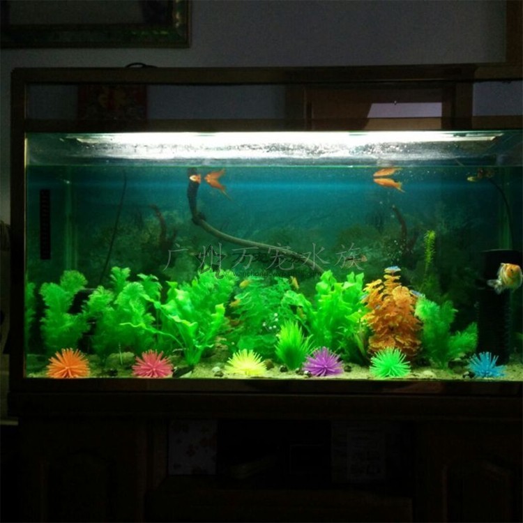 imagelock:3;k:r;s:J/x3zZmo8SxWIF8LKShyvD7nNAkN64SY0kuO8+3Jl0NZbWUK7Zfy74lT5g6MGqvsz7mIYgNw9yHh50NeLVLu8NaWNGL/21O4/Q0HWi3umpC6omovakDyCwU3b+oqSCxm