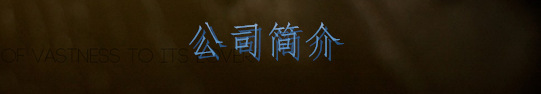 公司简介