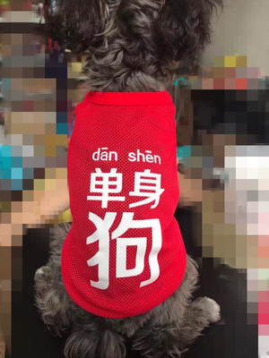 单身狗