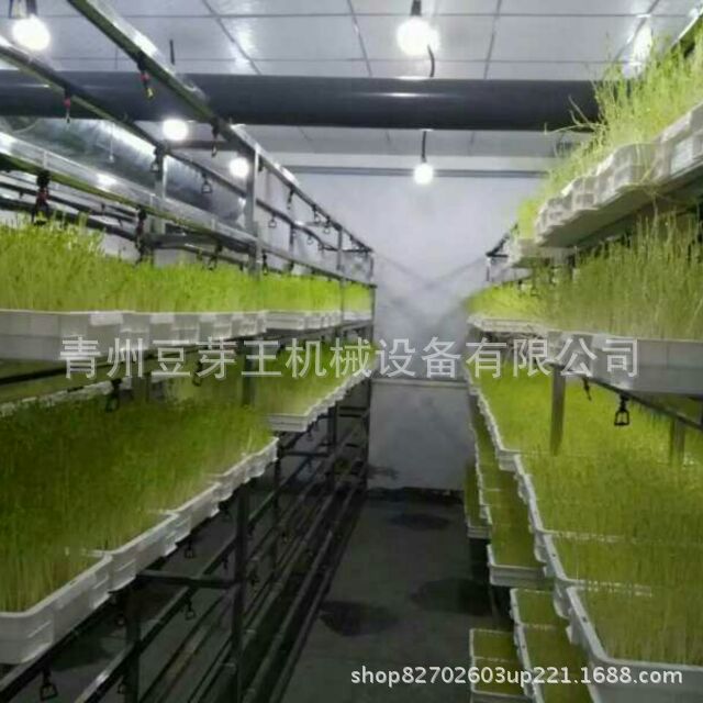 hdImg_6eec89309a69bbbac6ad6378