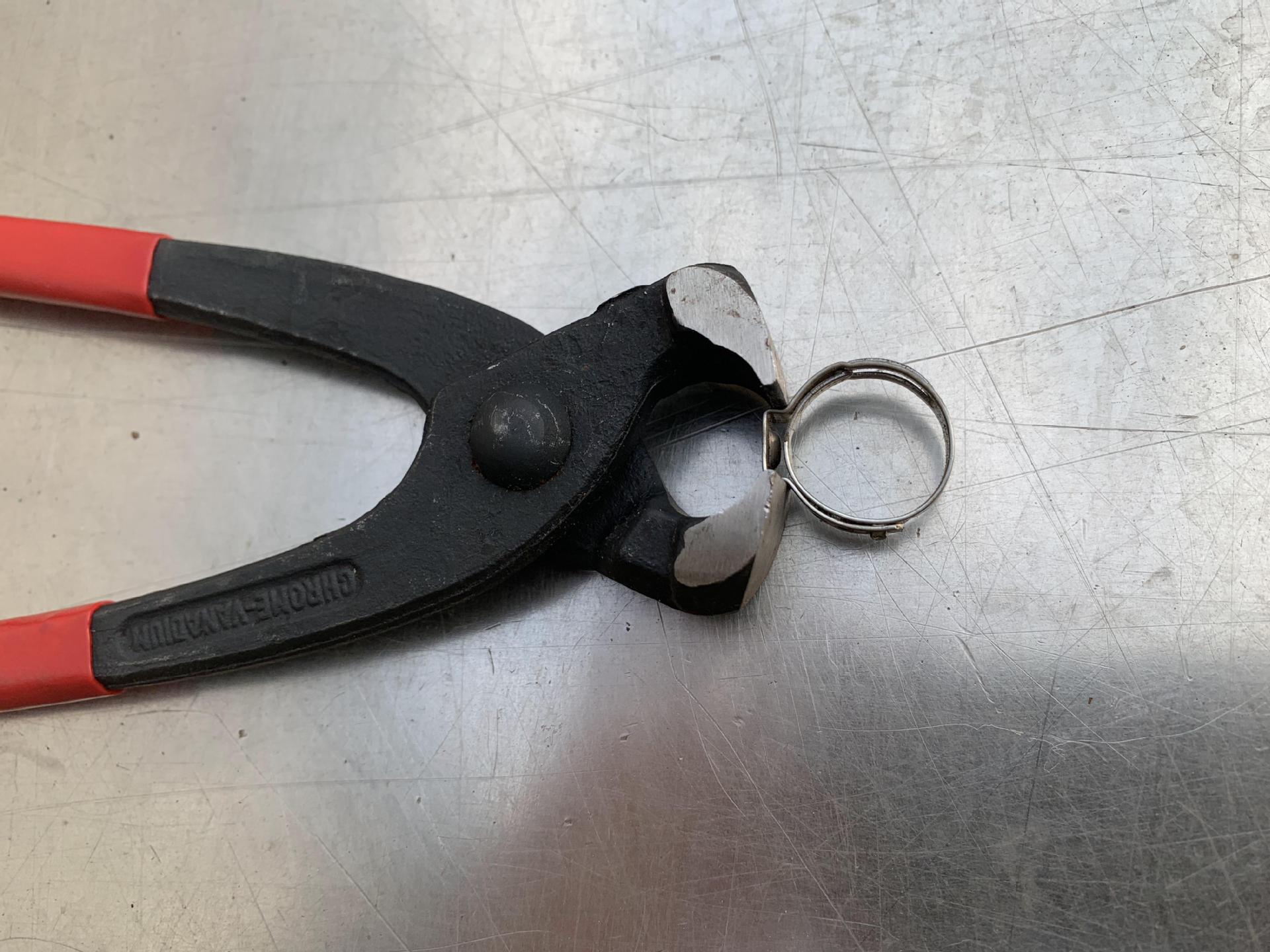 2018_10_31_15_42_IMG_2965