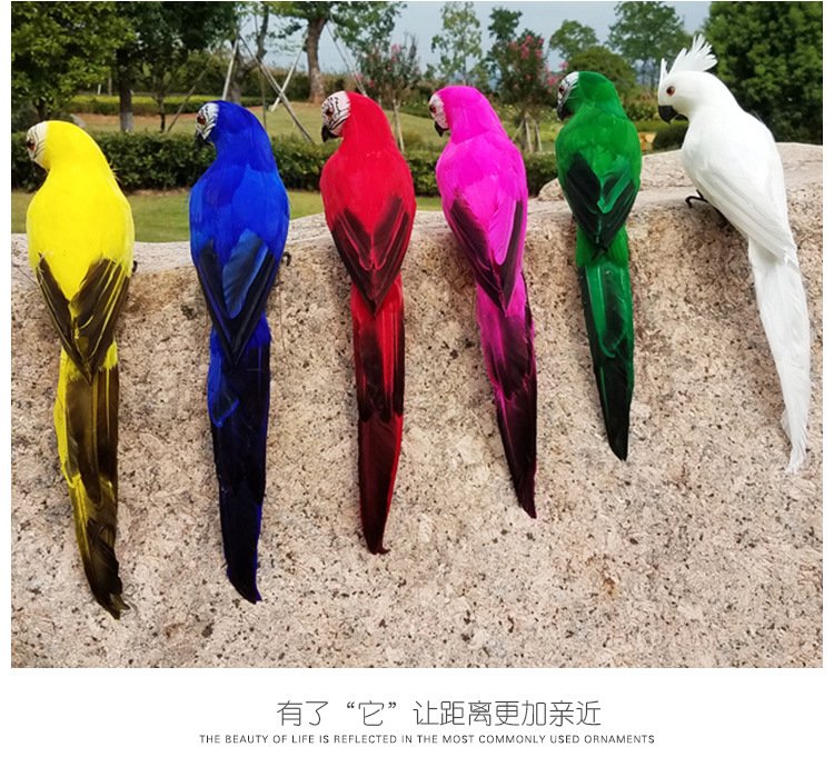 鹦鹉、_14.jpg