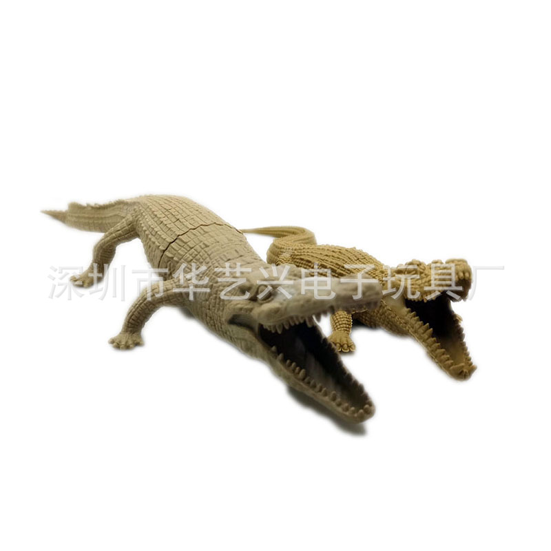 鳄鱼3.jpg
