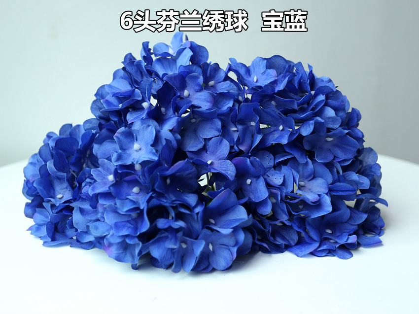 IMG_0116_副本_副本