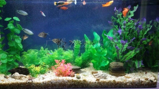 imagelock:3;k:r;s:J/x3zZmo8SxWIF8LKShyvD7nNAkN64SY0kuO8+3Jl0NWTZZZOAVHW/eWAPy4dhM6xHhd0kj9GgF5DMhEVyEeGWfmrG2FRSngrIXDsBKsI3qn9EGMU/E9p/VWdMebYOCS