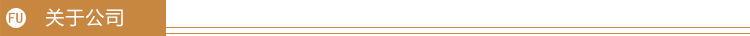 关于公司