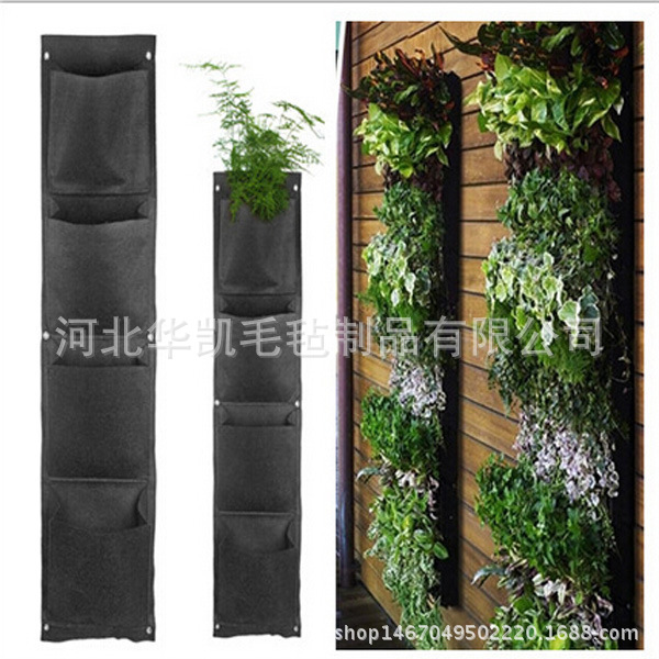 3096398824_1283925770