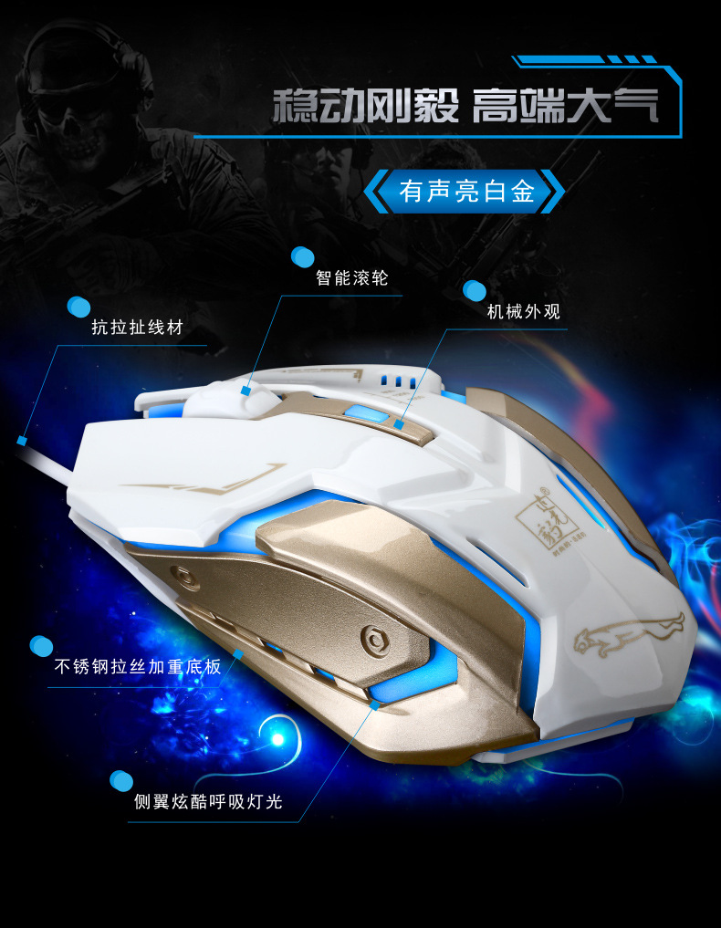 K1网图5