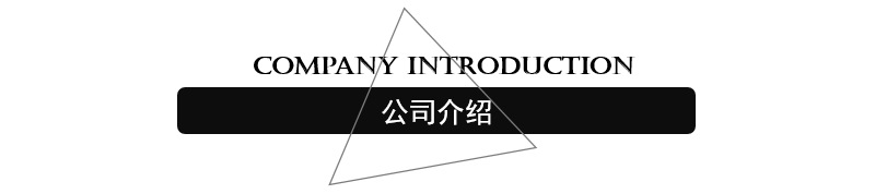 公司介绍