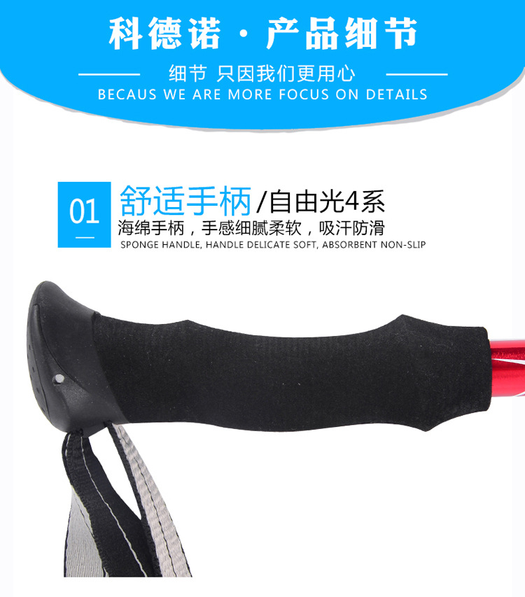 自由光4系  (8).jpg