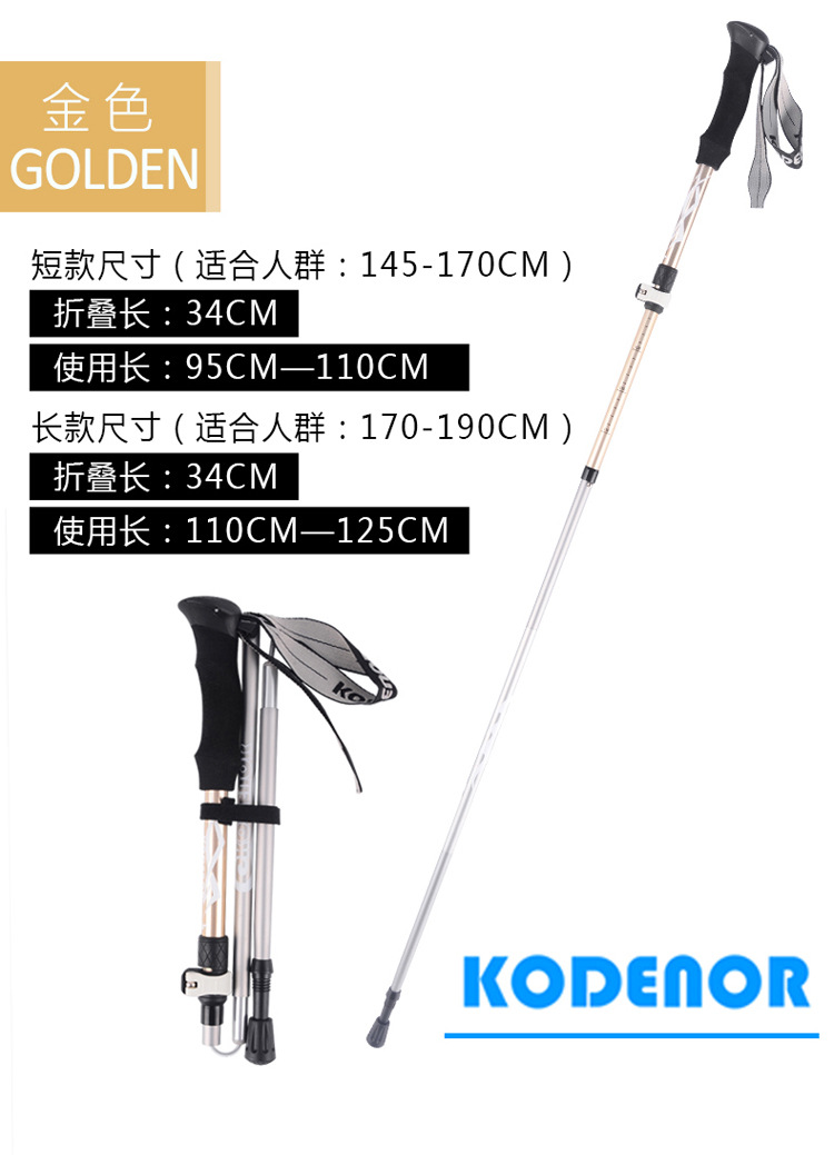 自由光4系  (18).jpg