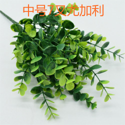 DSC_0682_meitu_7_meitu_9