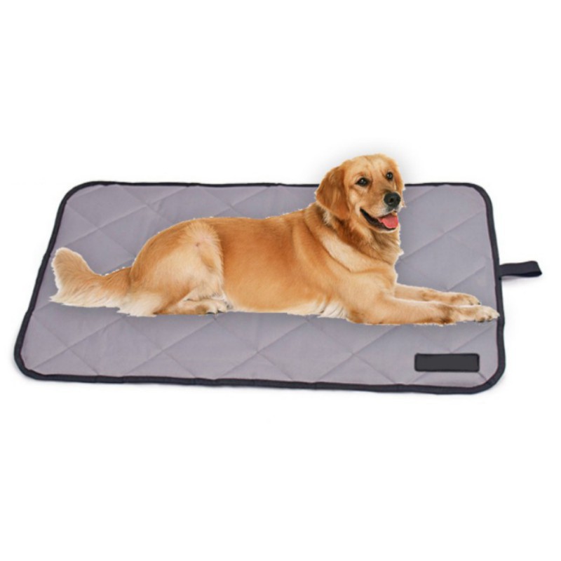 HTB1ZaKWXsTxK1Rjy0Fgq6yovpXaF